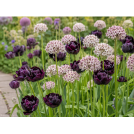 Ékszerkert Kollekció - Dekor&Mentha