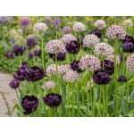 Ékszerkert Kollekció - Dekor&Mentha
